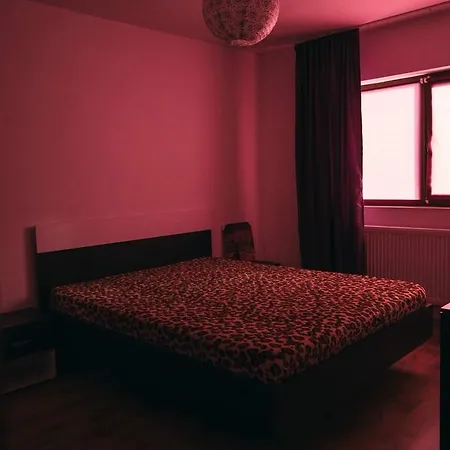 Apartament Nico * Navodari